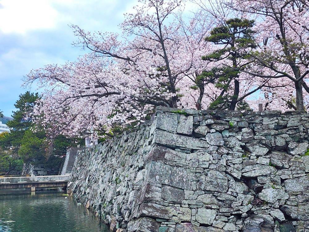 「徳島城跡」お堀。撮影したのは2024年4月。