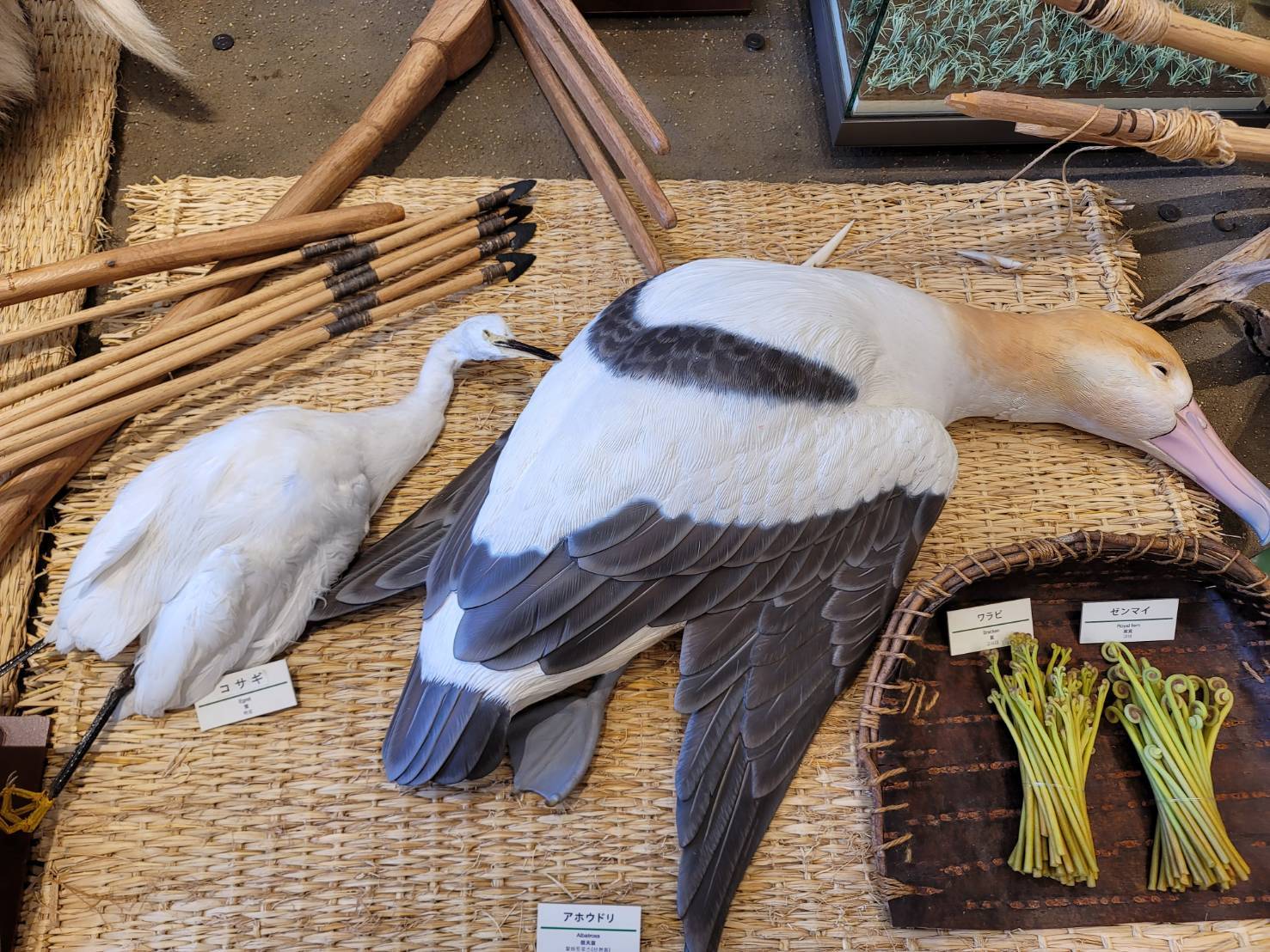 鳥取県立むきばんだ史跡公園：秋の食料