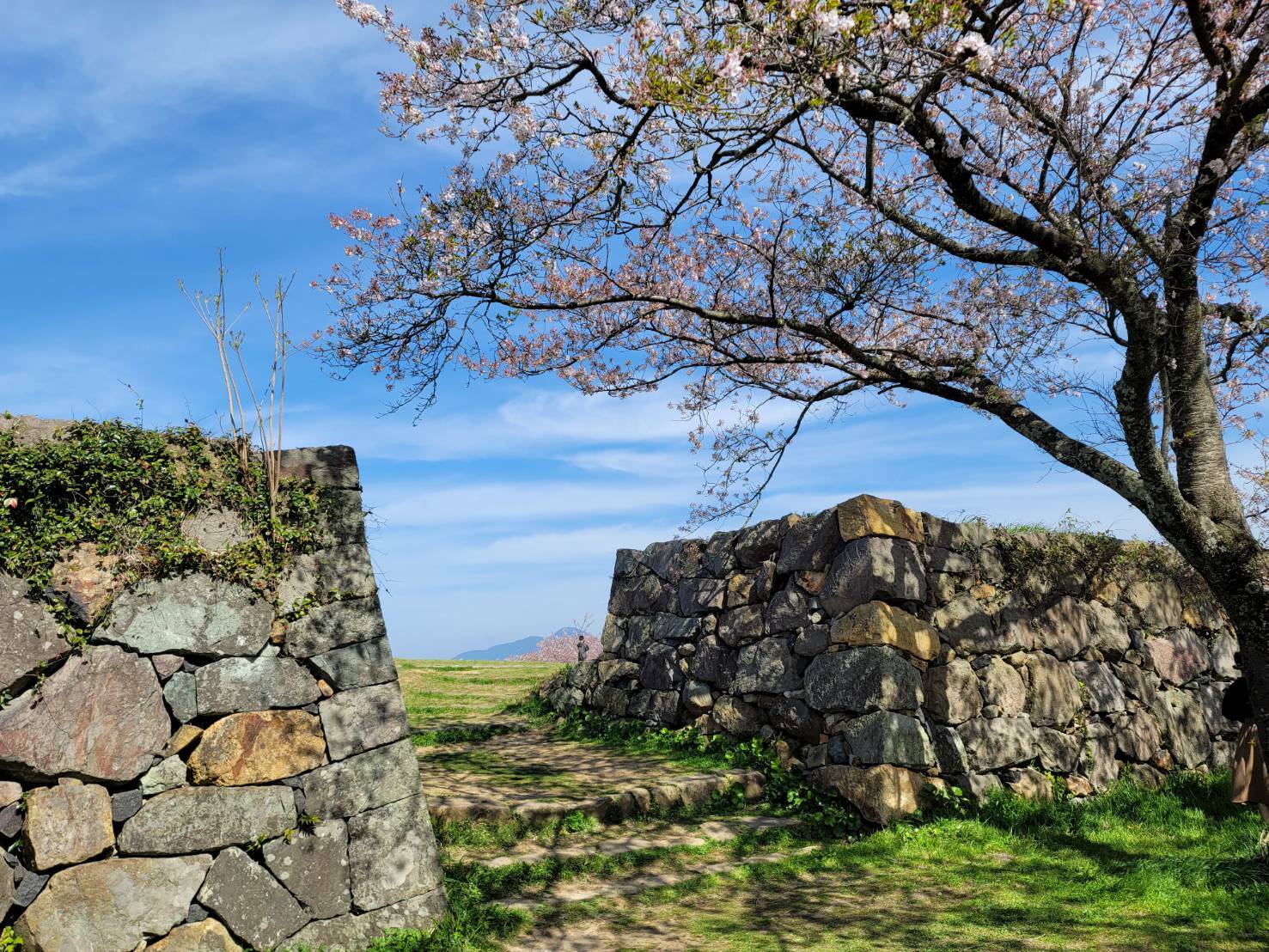 米子城跡の石垣