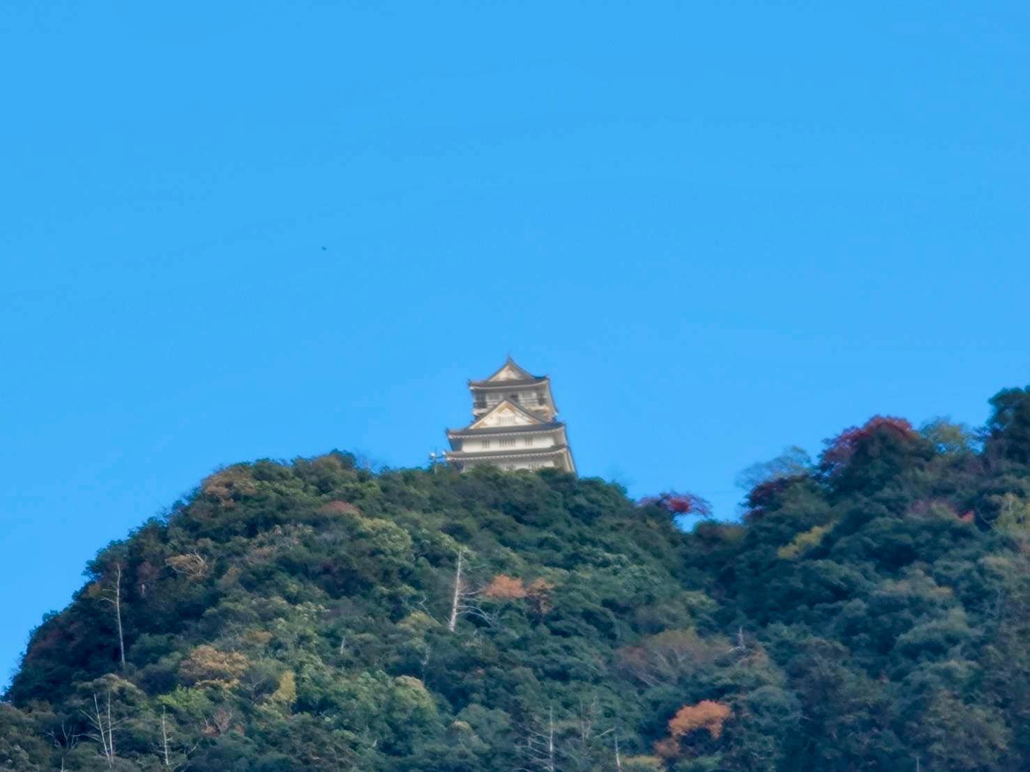 岐阜城と金華山