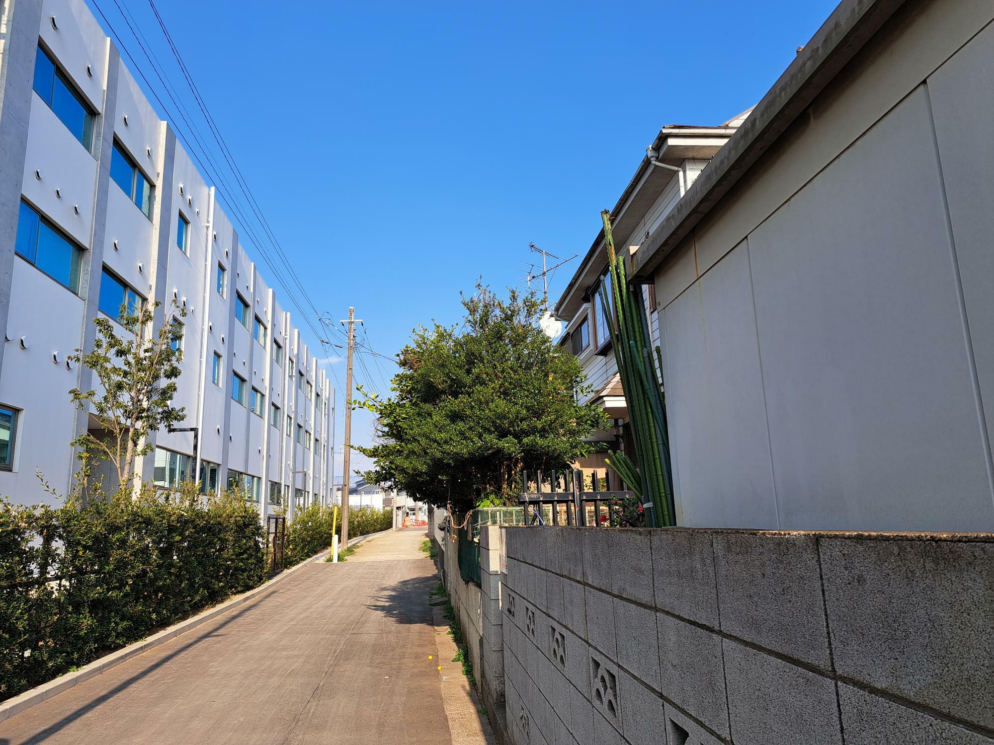 お店の前の通りの隣は千葉商科大学付属高校