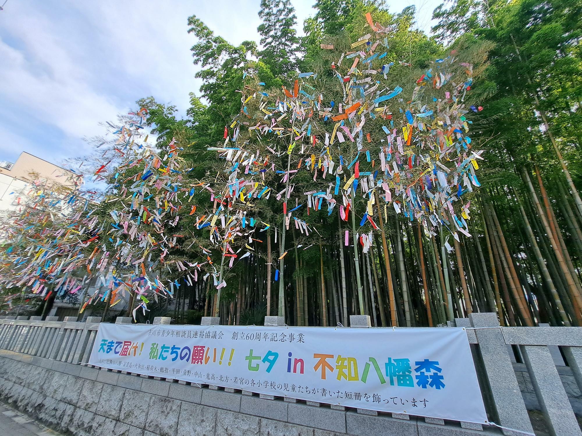 「天まで届け！　私たちの願い！！　七夕in不知八幡森」のイベントでは多くの短冊が飾られています