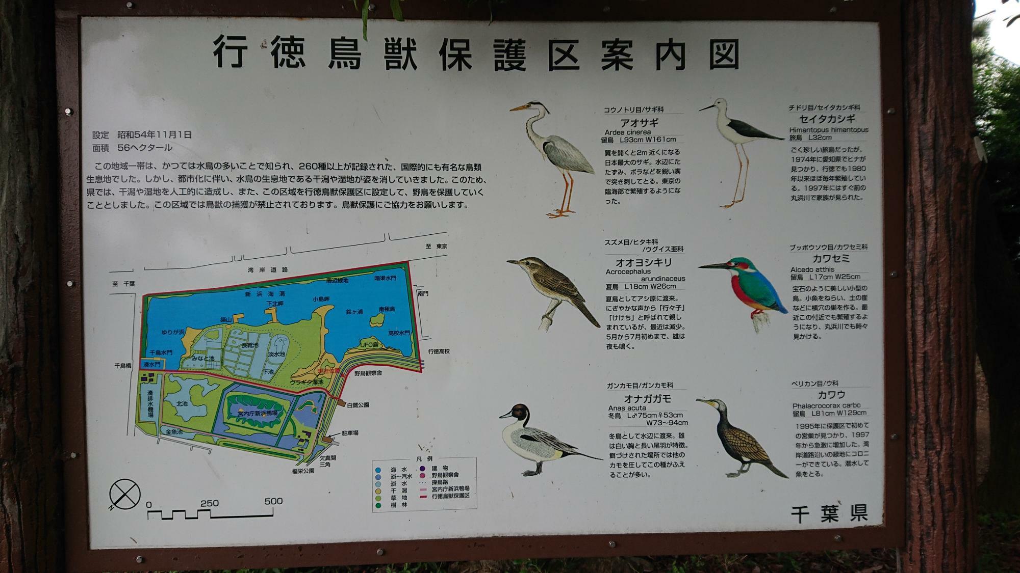 行徳鳥獣保護区案内図