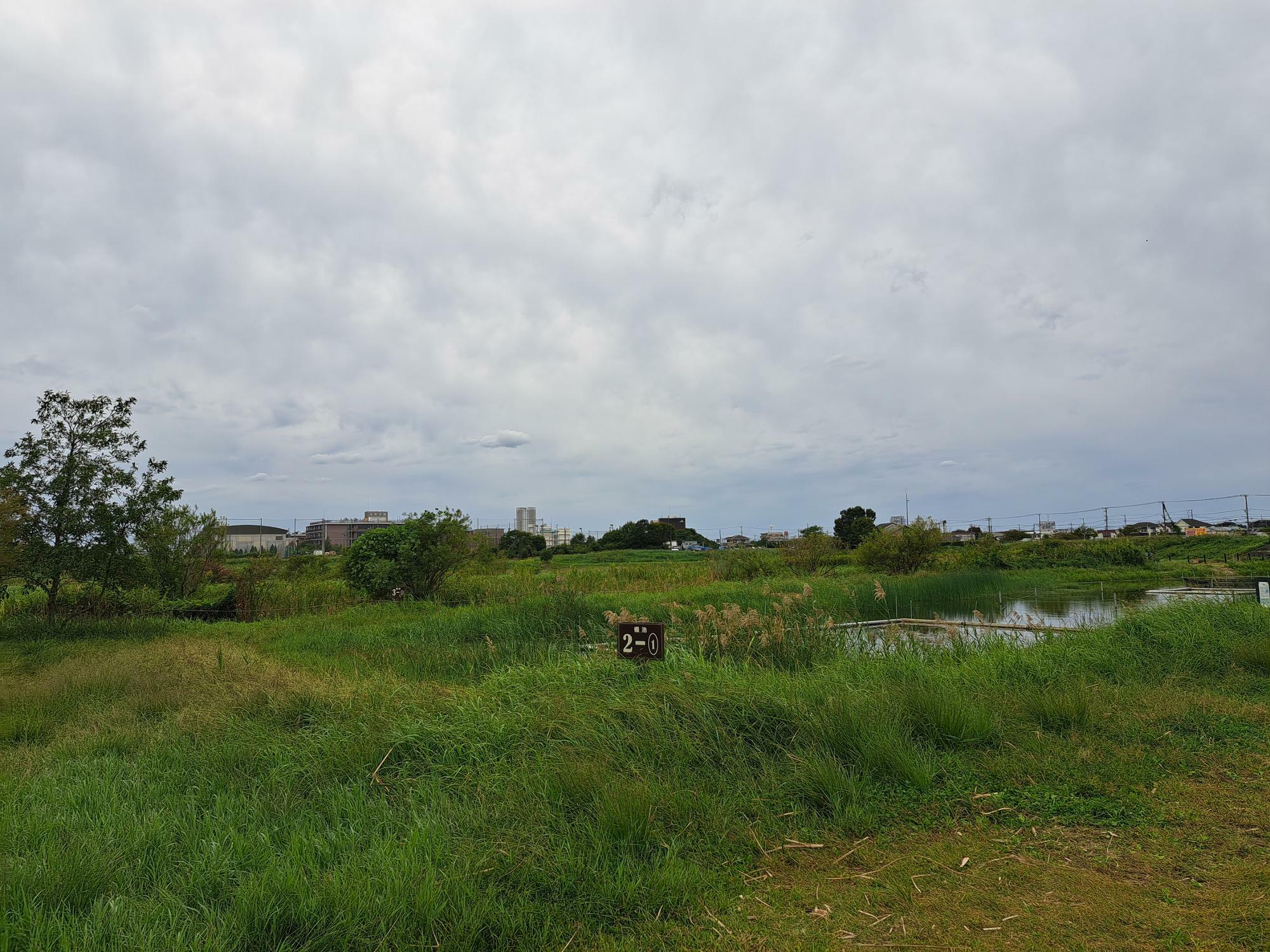 大柏川第一調節池緑地は緑と水辺が広がります