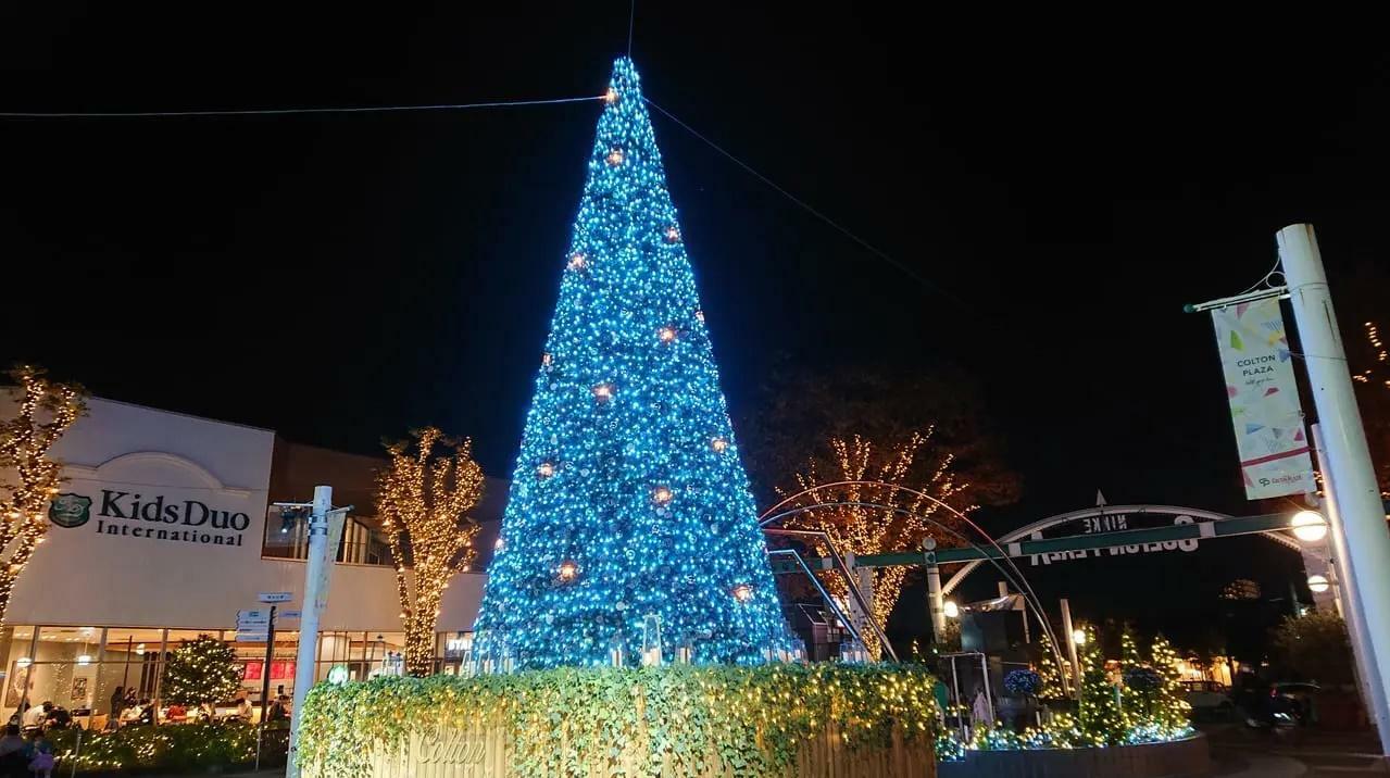 2020年のコルトンプラザのクリスマスツリー
