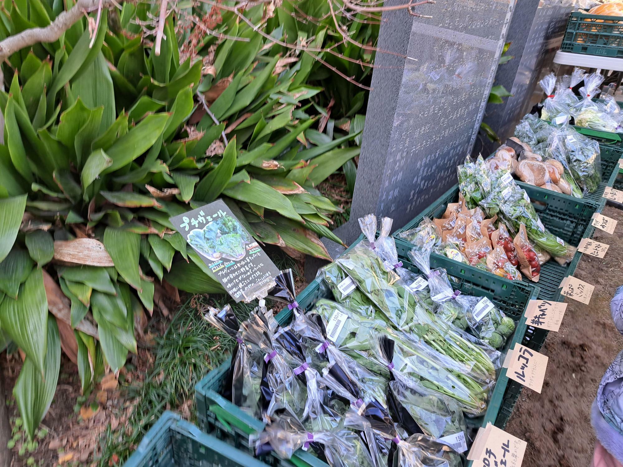 野菜の販売もありました。