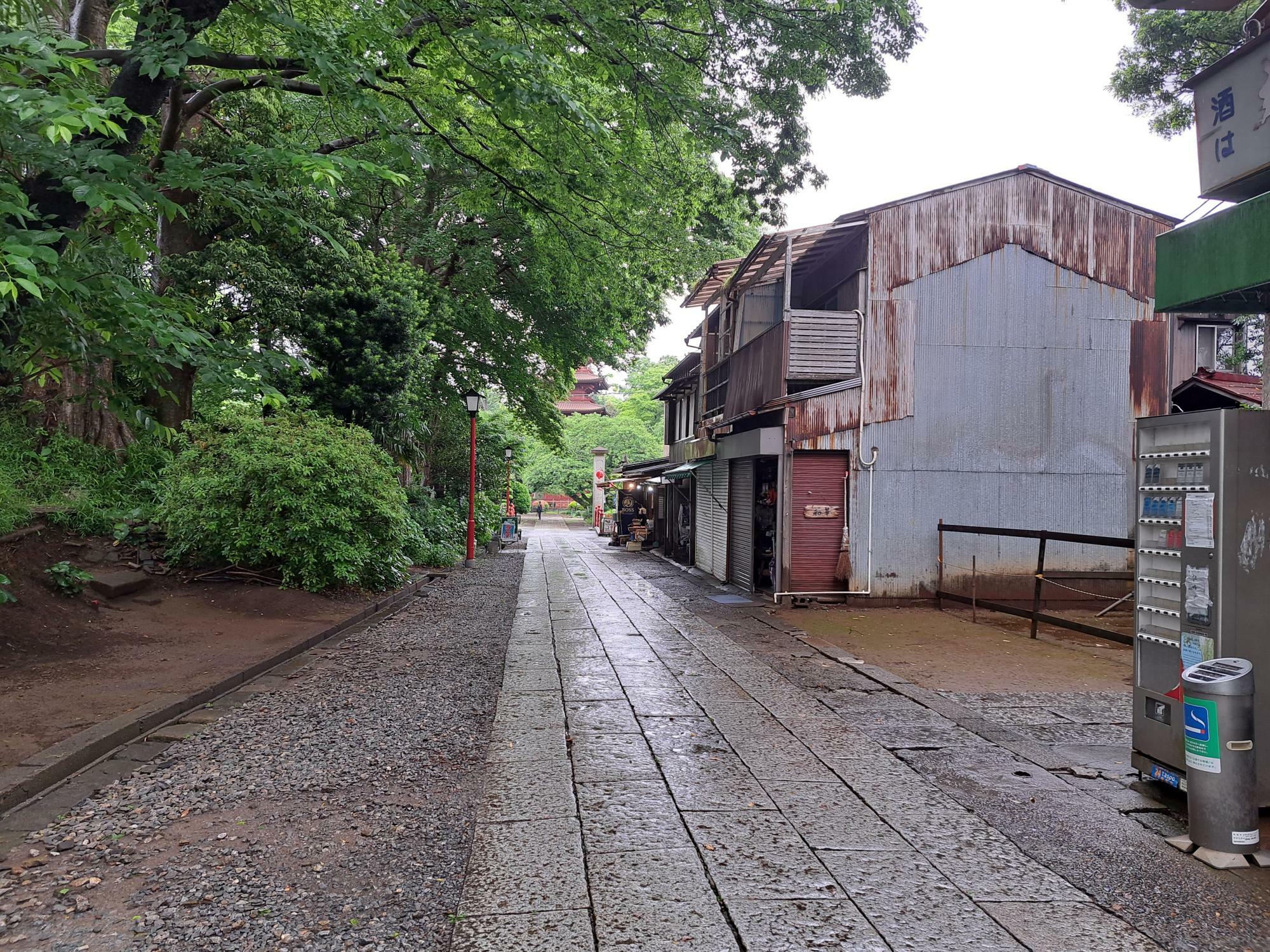 田中家の最終日。午前中は雨模様の天気でした。