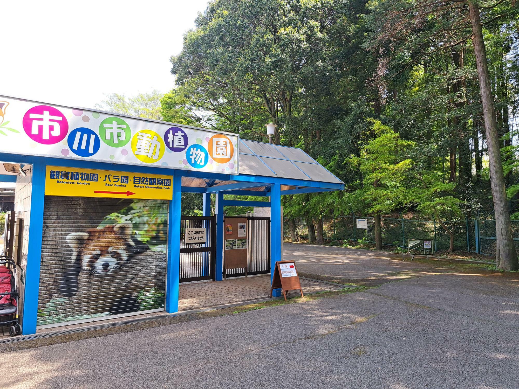 市川市動植物園は小中学生が入園無料！