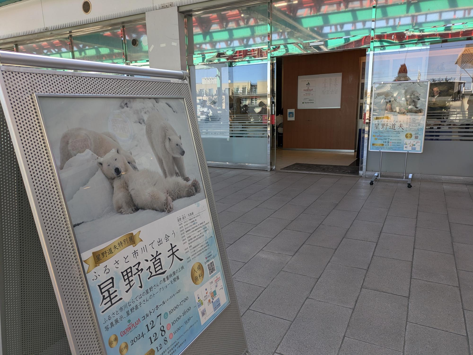 コルトンホールでは星野道夫特別展が開催中！