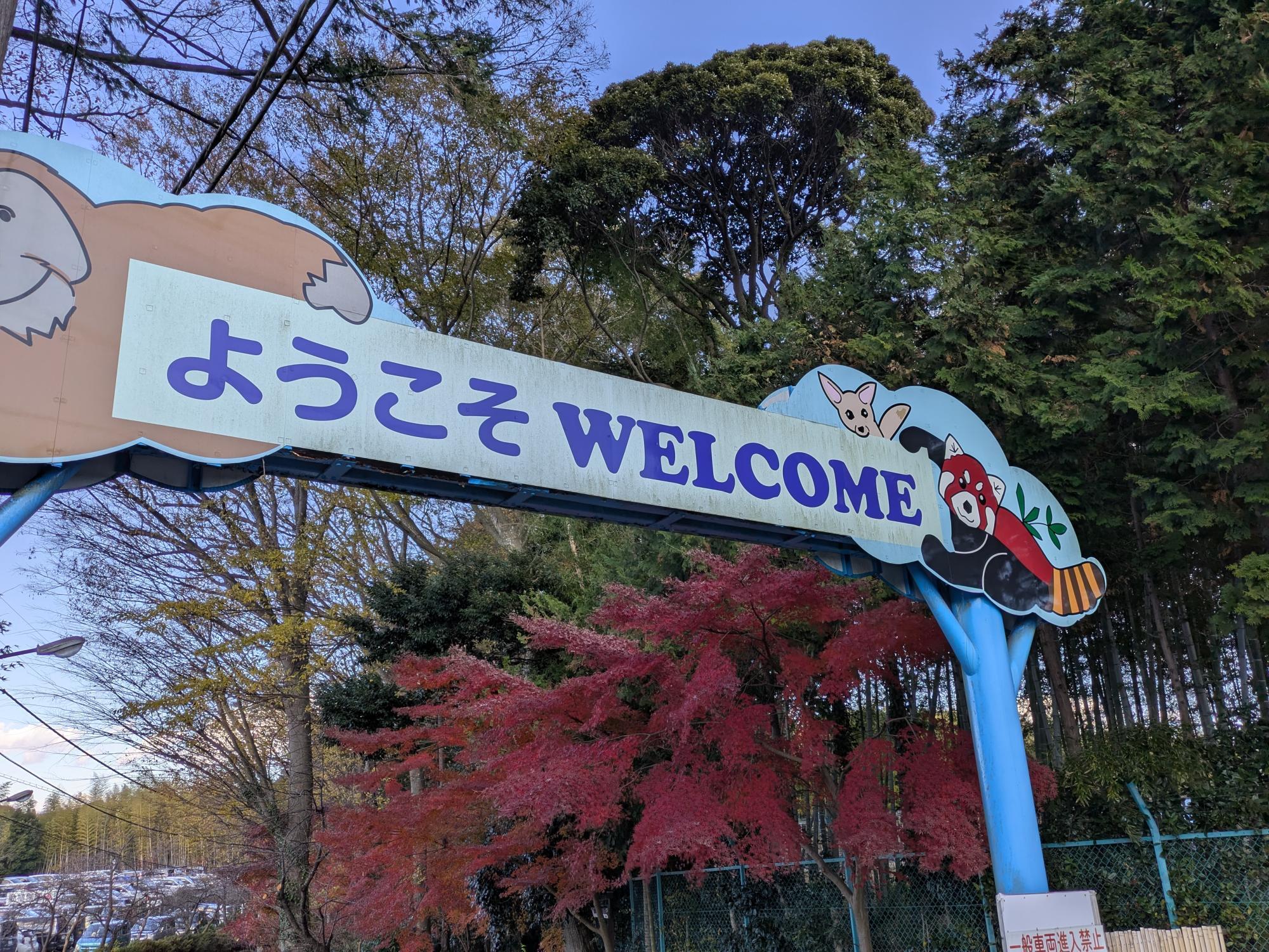 動植物園の入口も紅葉。