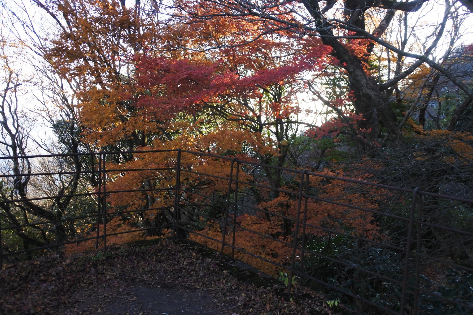 ケーブルカー筑波山頂駅近く