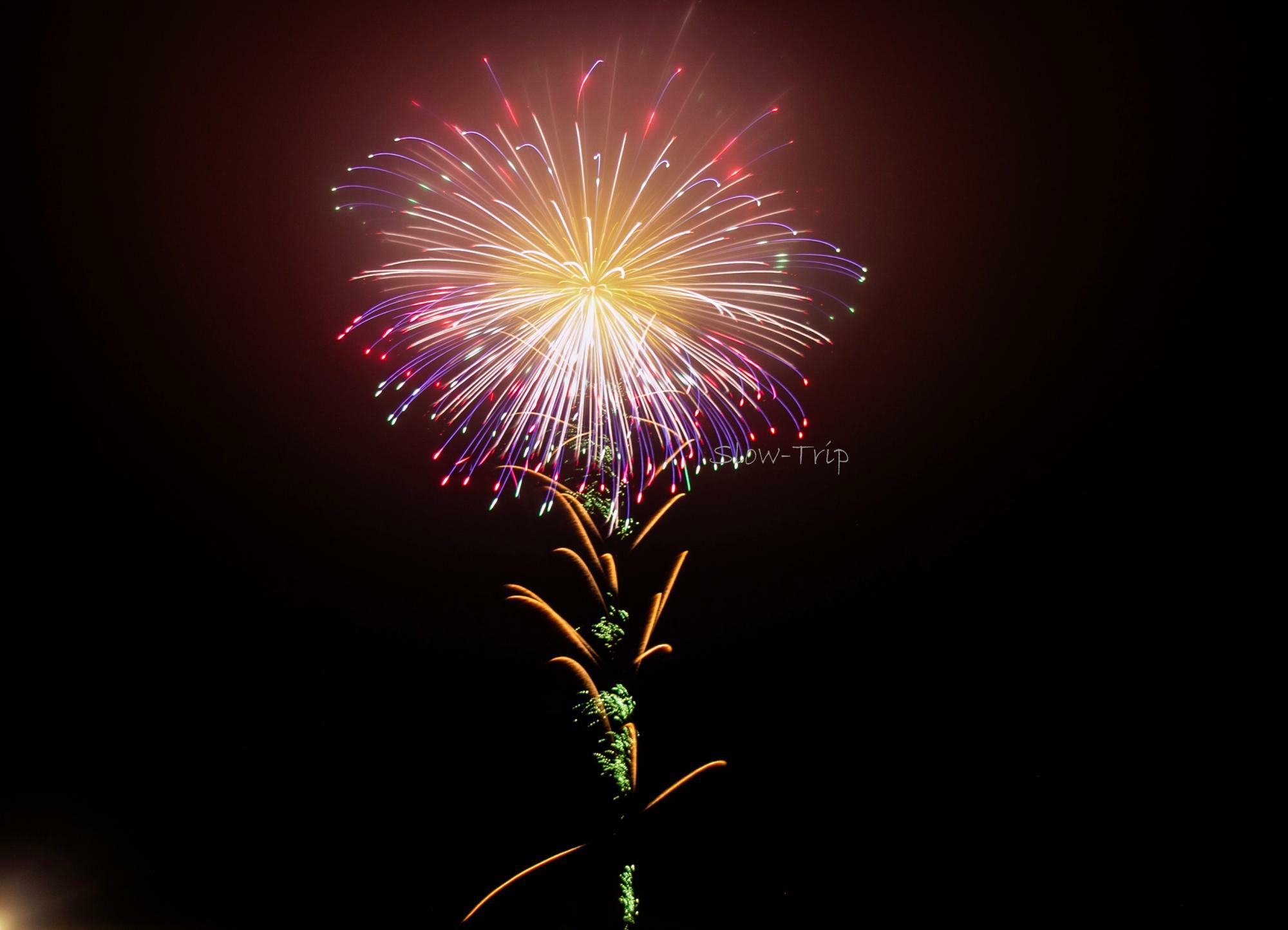 2022年「常総新花火」マルゴー：尺玉の部「平和を願う花」