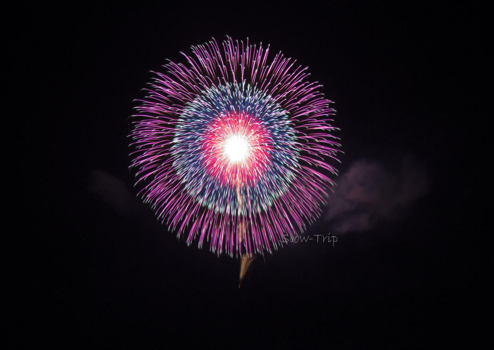 打上担当：響屋大曲煙火の花火（「大曲の花火 春の章　新作花火コレクション2024」優勝作品）