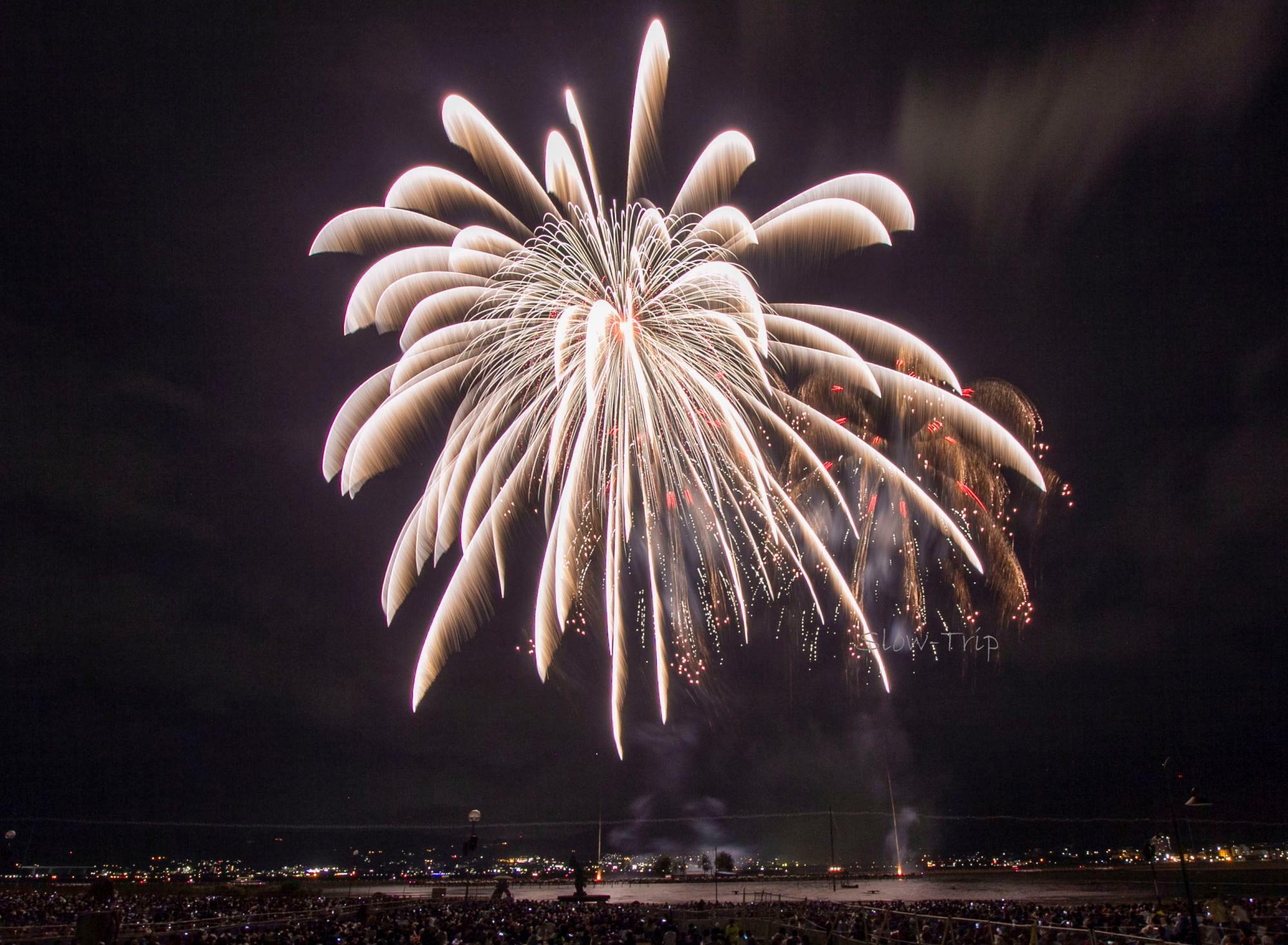 諏訪湖祭湖上花火大会（2019年）：往復経路と宿泊施設の確保が厳しいため、バスツアーで参加。観覧チケットは花火大会公式サイトで購入しました。