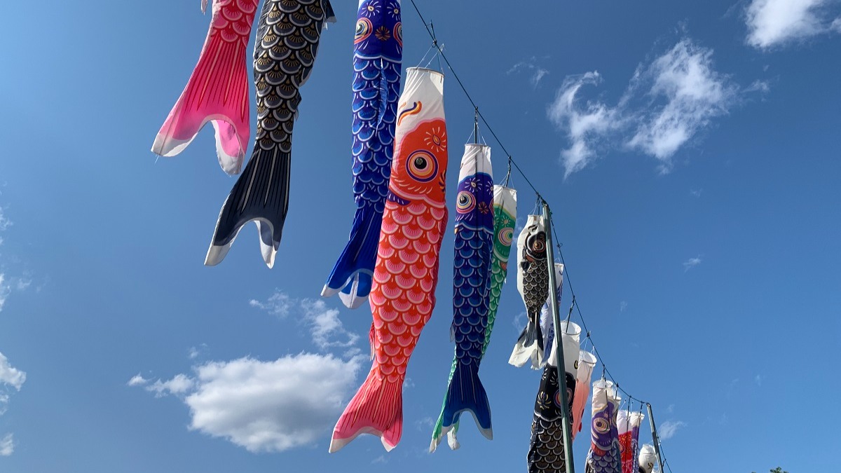 市川市】鯉のぼりたち 風にたなびけ こどもの日～大野町 こざと公園