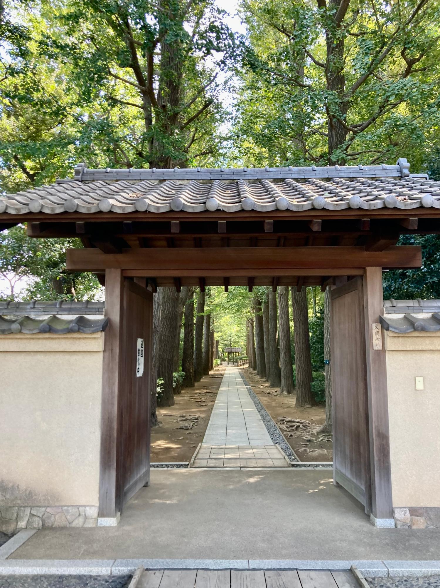 イチョウ並木が続く大田黒公園の入り口。