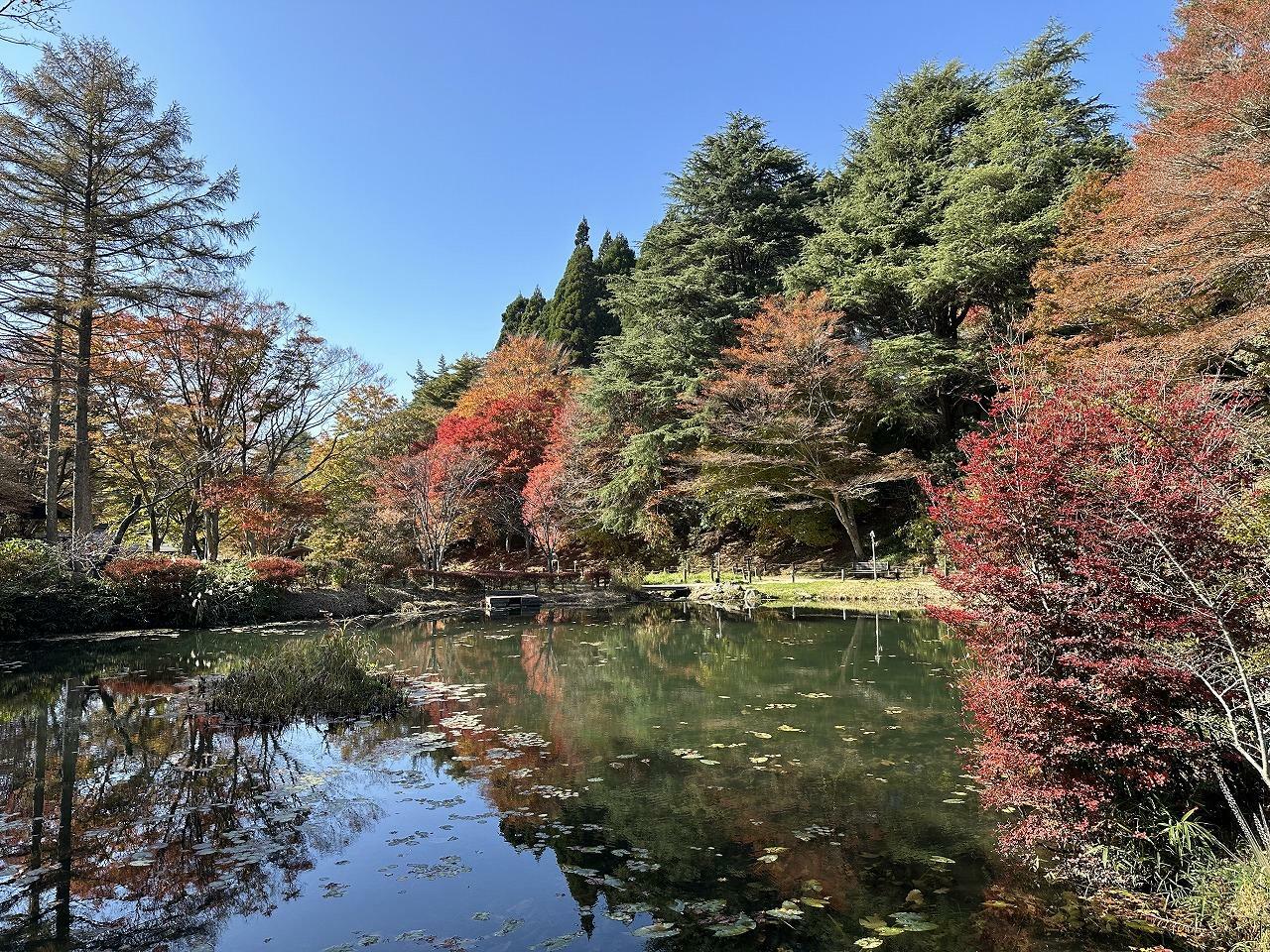 撮影：2024年11月14日