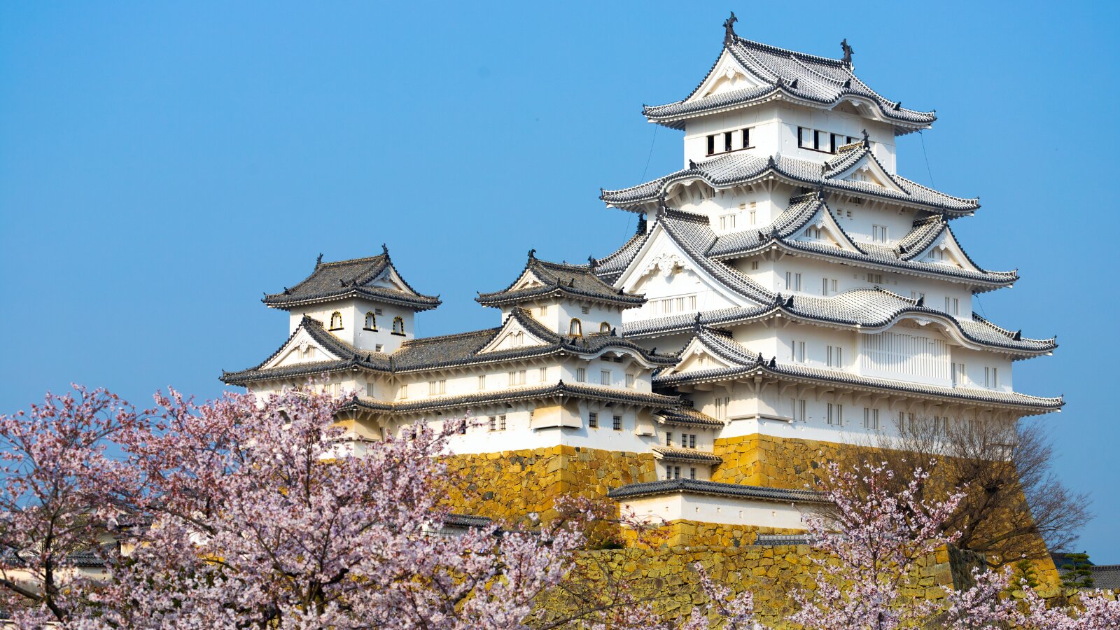 春の姫路城