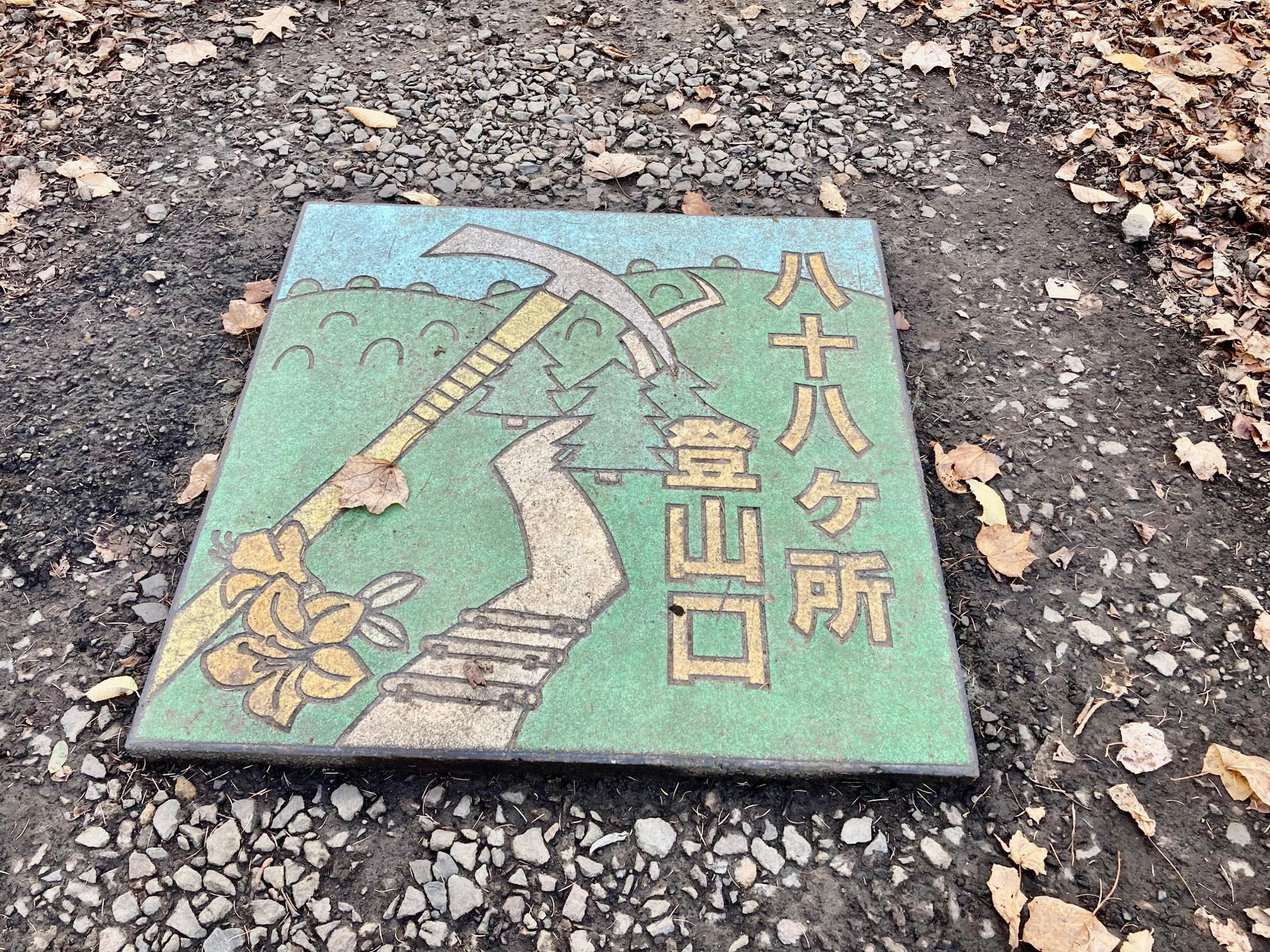 札幌市中央区】ハイキング日記・円山で鳥と樹木を観察する!入門 札幌市中央区】ハイキング日記・円山で鳥と樹木を観察する!入門