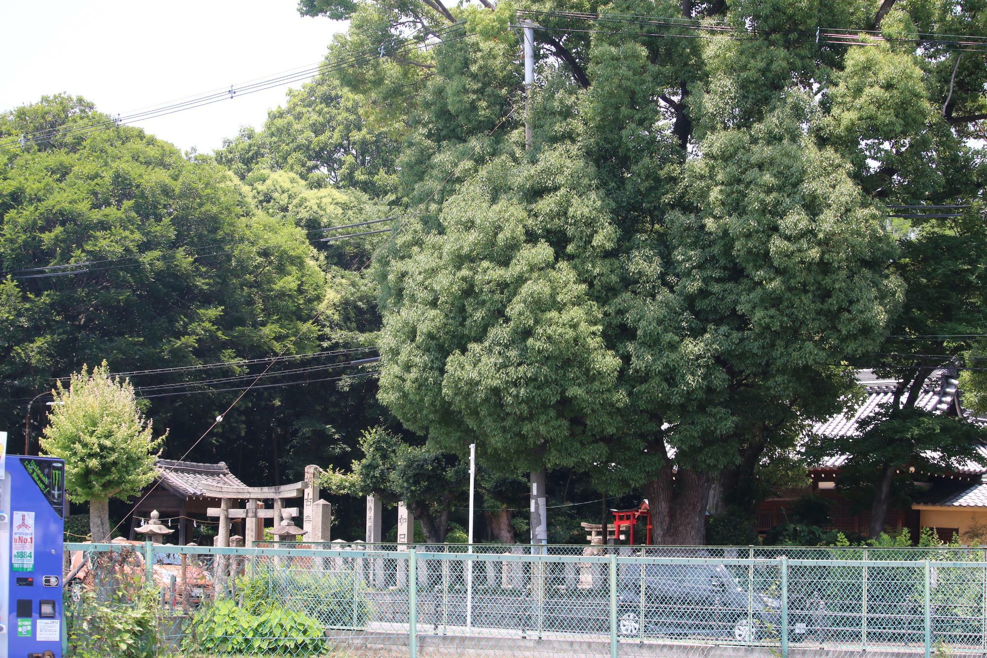 住道矢田バス停近くにある中臣須牟地神社（なかとみすむちじんじゃ）
