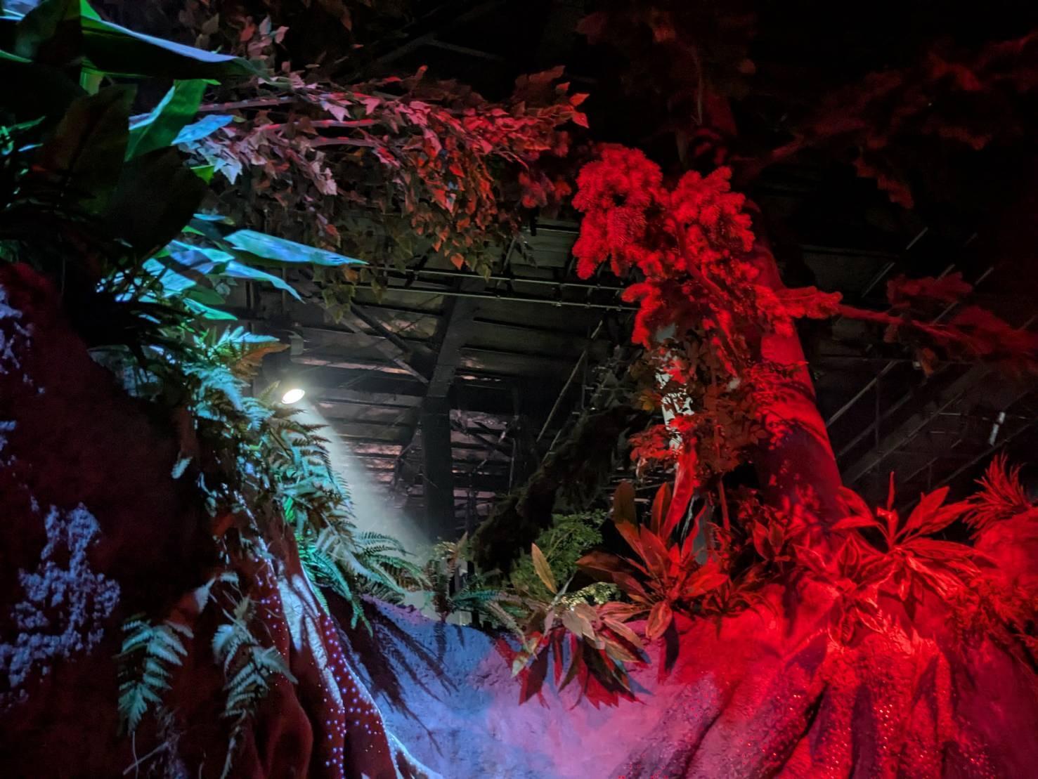 大阪市】大阪・関西万博の「住友館」へ 本物の森の中にいる