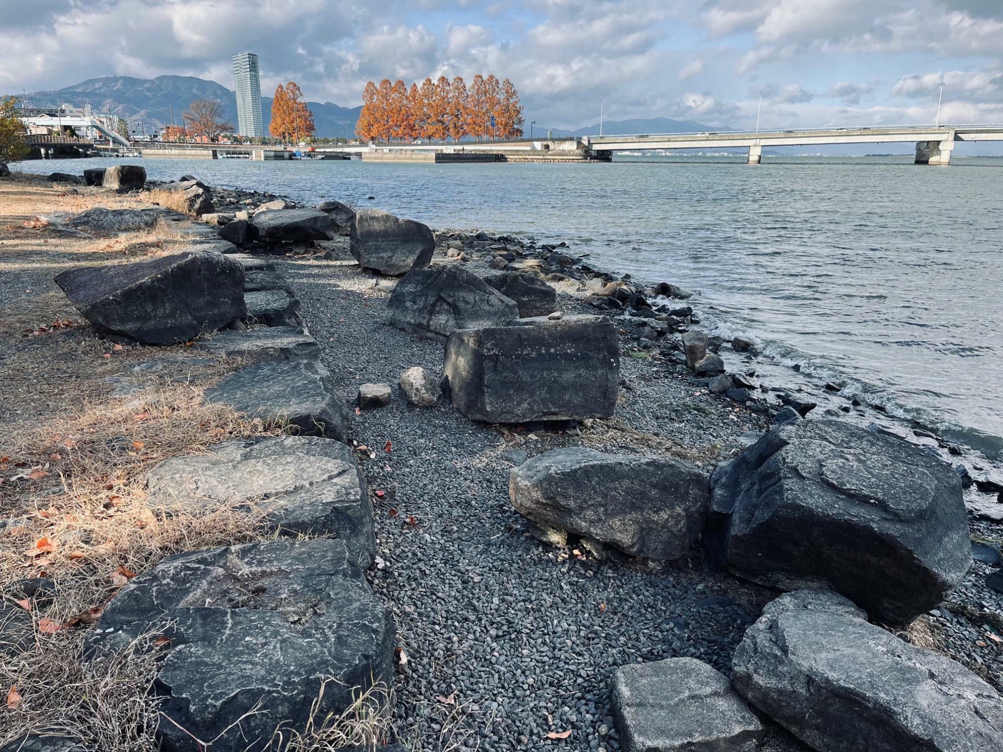 膳所城跡公園周辺の琵琶湖水面が低下している様子