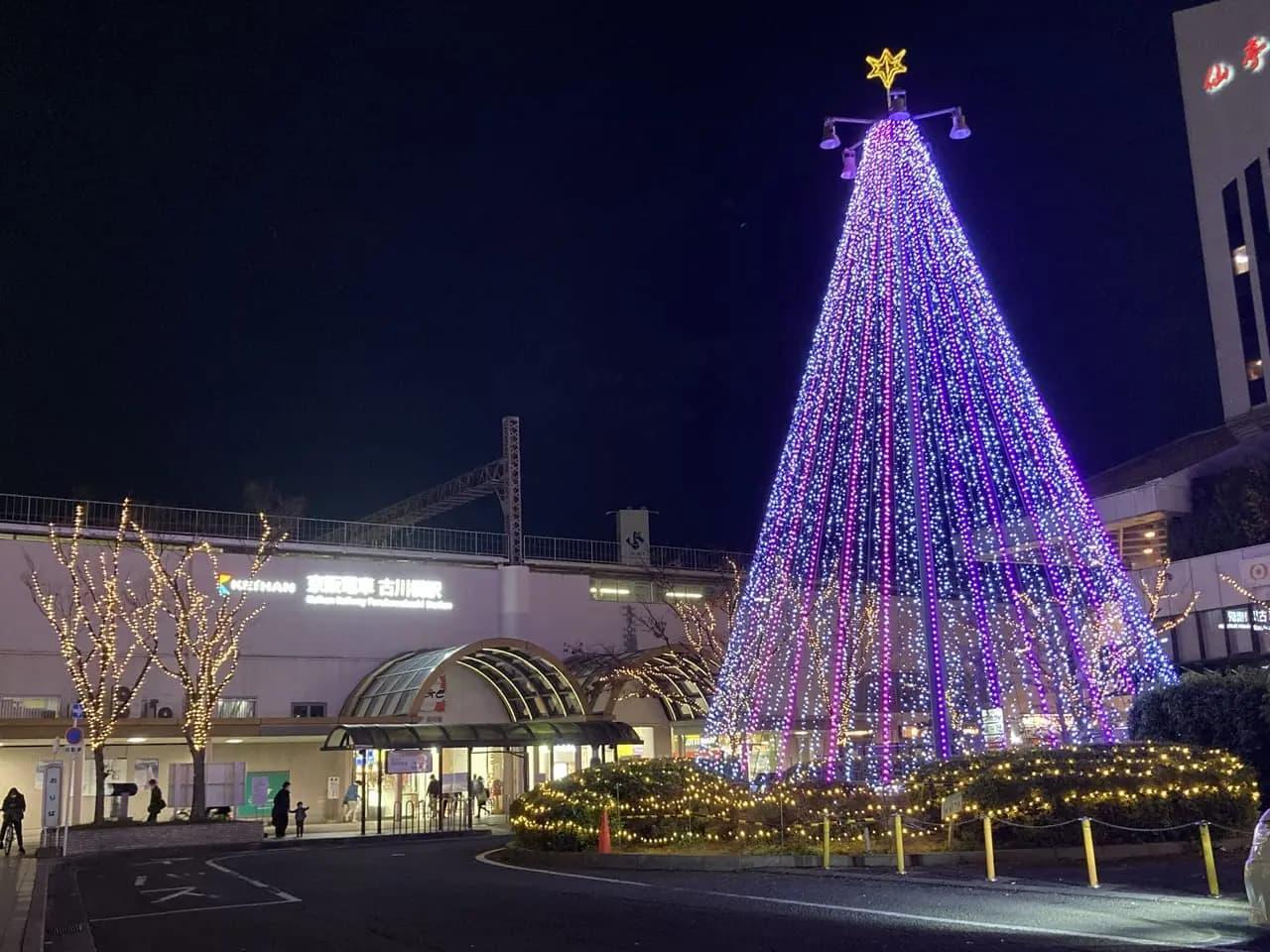 ※こちらの写真は2022年に撮影