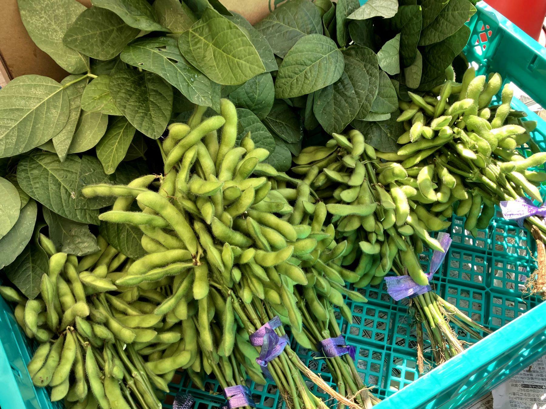 写真は、枝豆まつりの農産物直売で撮影したものです。皆さんはお客様にどんなアピールを考えますか！？