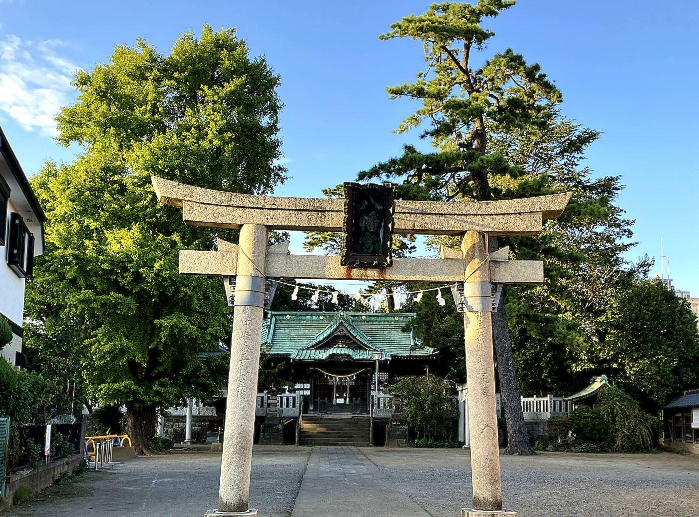 三の鳥居越しに拝殿を守るような大銀杏と松の大木。2024年10月20日撮影