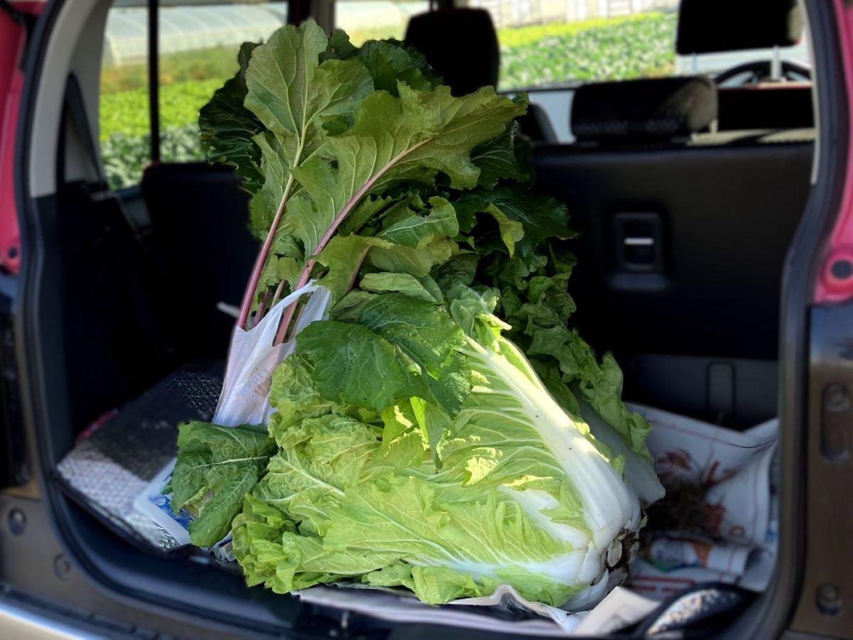 車の荷台に積んだ時に、その大きさに驚かされるました。