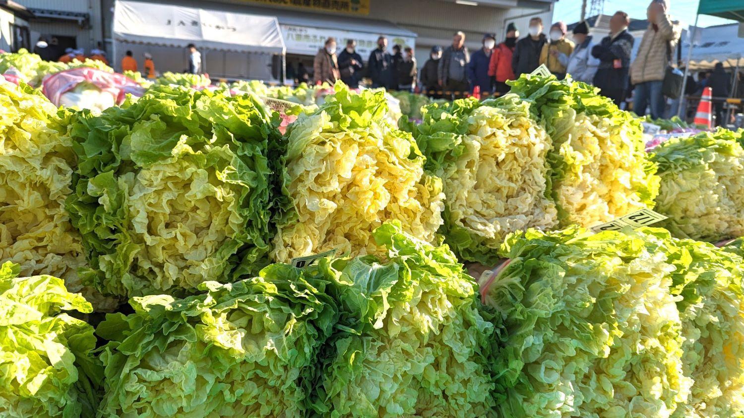 ＪＡさいかつ様より前回「山東菜まつり」の写真をご提供いただきました。