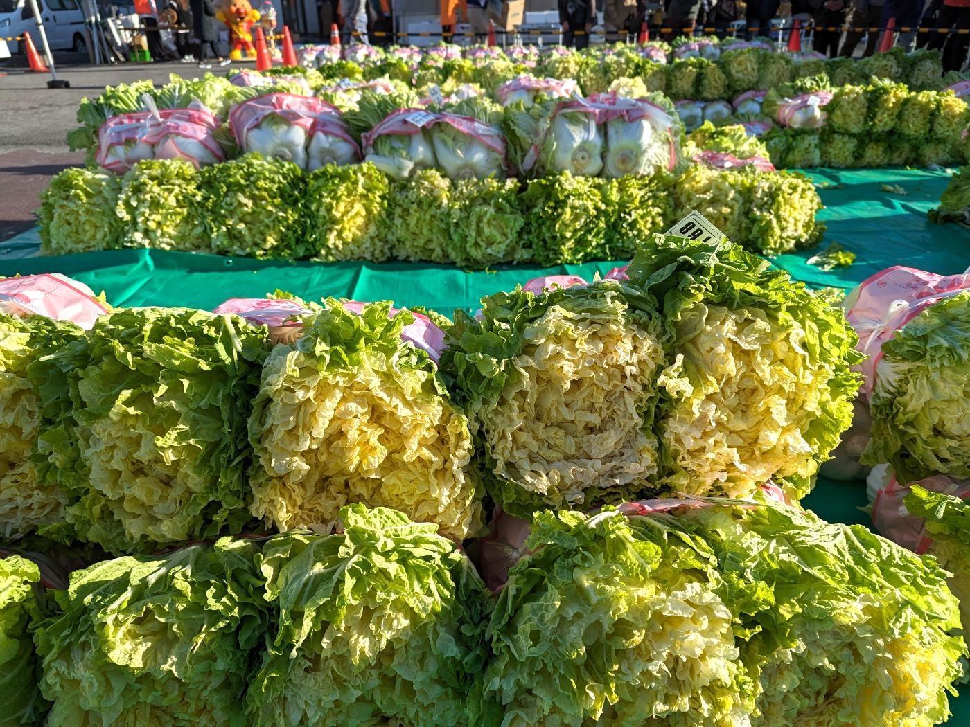 ＪＡさいかつ様より前回「山東菜まつり」の写真をご提供いただきました。