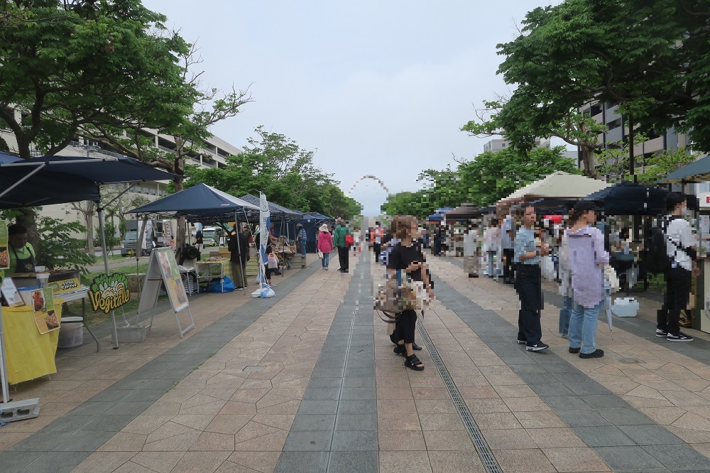 新都心公園の水の道が会場です