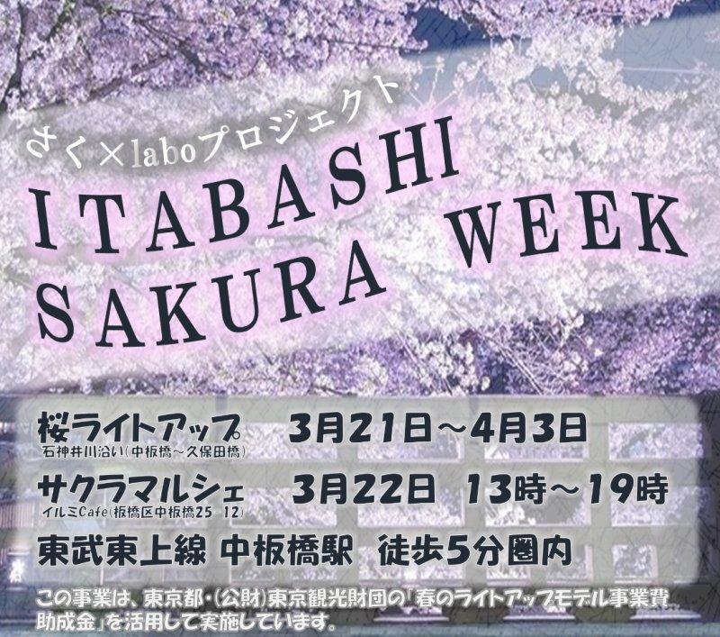 板橋区】3月21日～4月3日、石神井川「ITABASHI SAKURA WEEK 2025