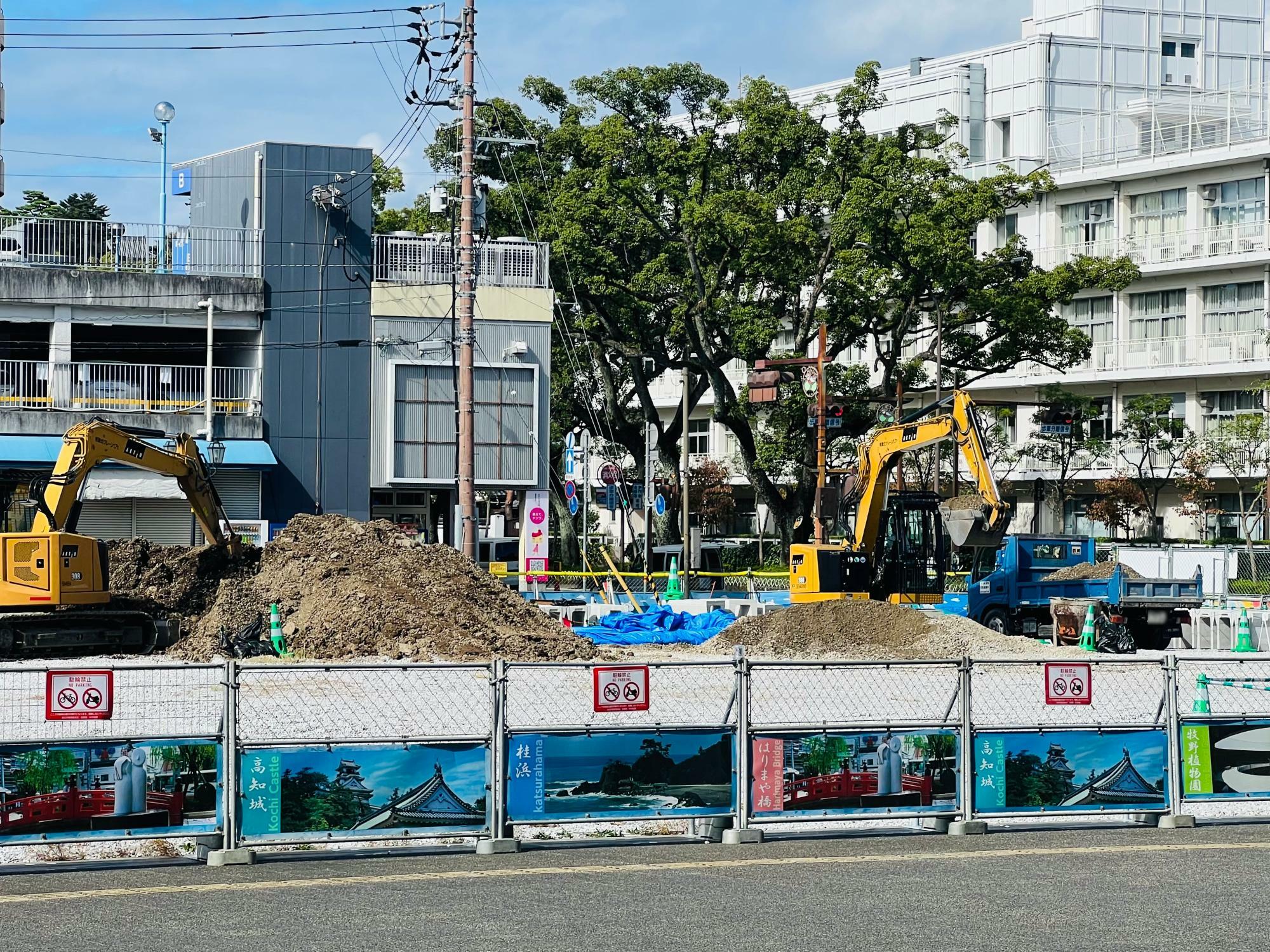 ※2024年10月中旬の様子