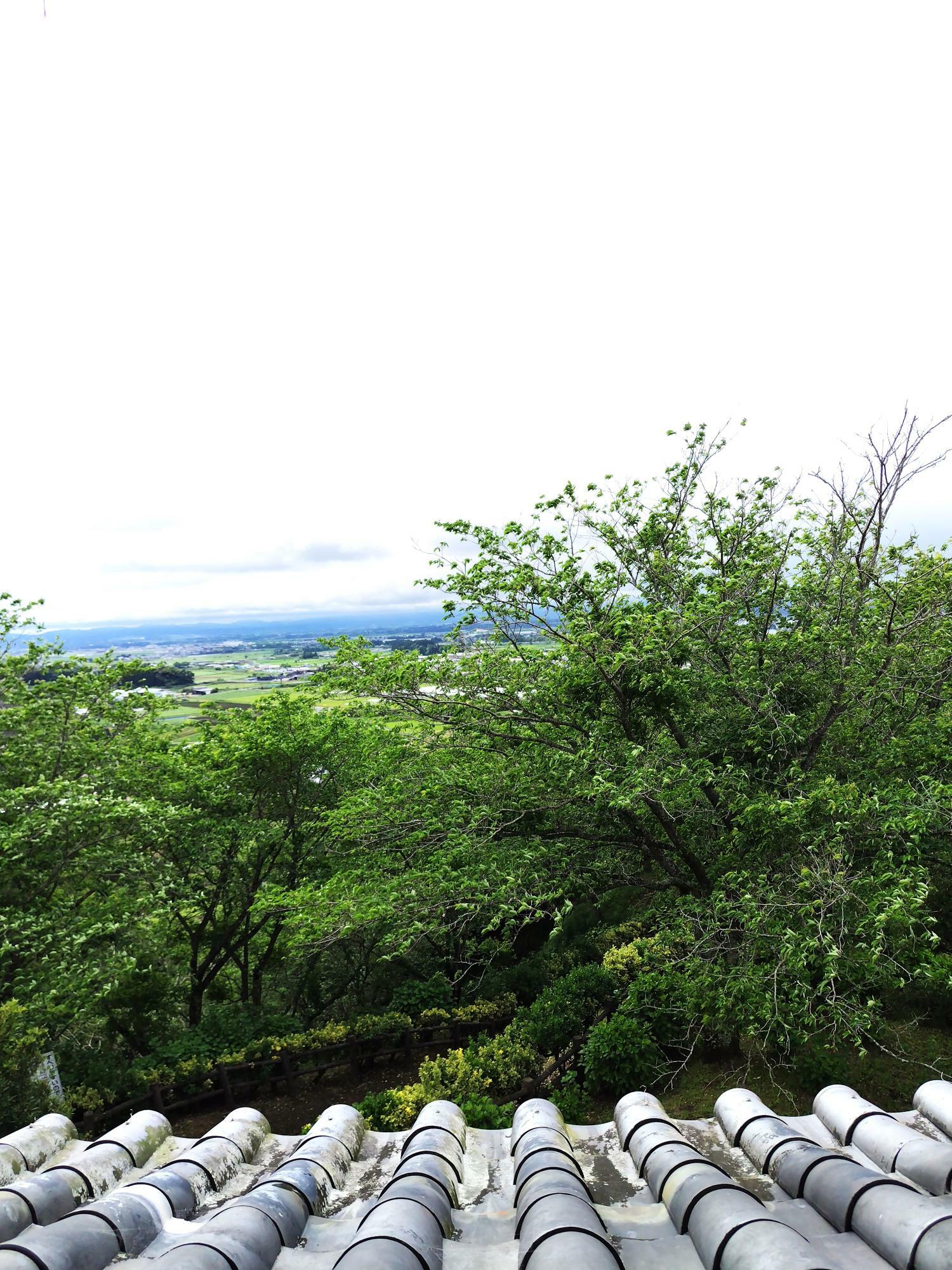 この日は雨上がりで雲がかっていますが、それでも綺麗