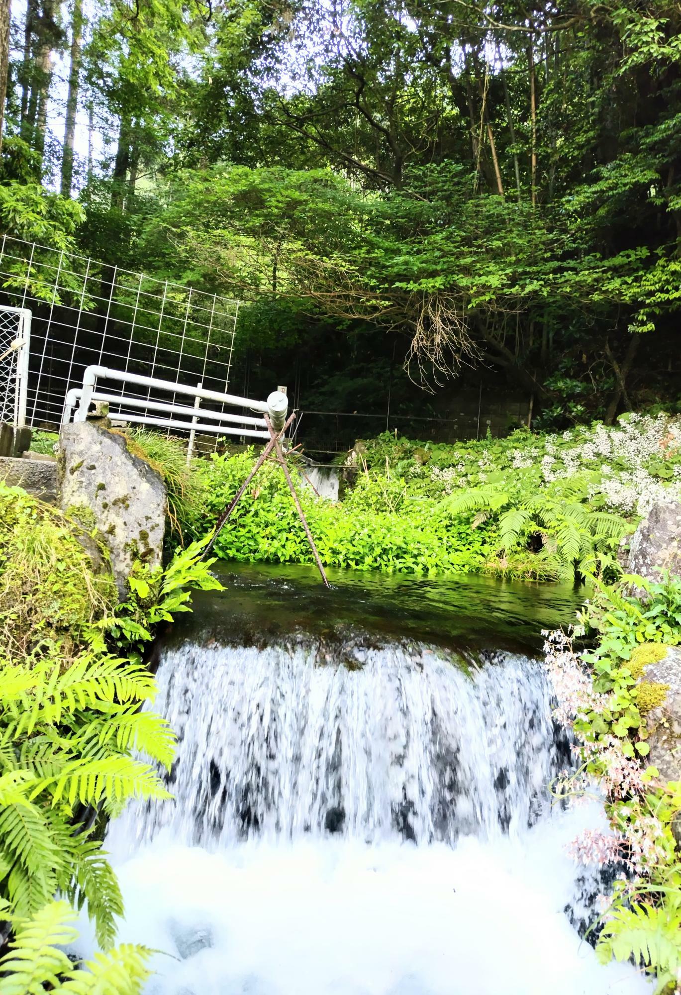 一気に空気が変わり寒さすら感じます