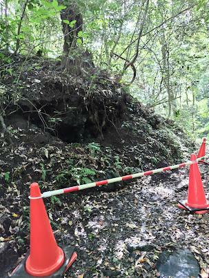 最近の大雨でしょうか。豪雨が怖いですよね