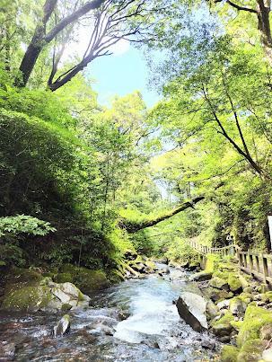 肺が喜びそうな空気の綺麗さ