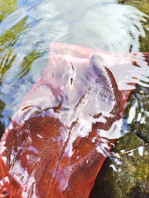 釣れる釣れる！