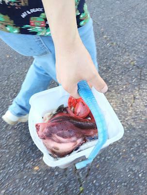 これ、２人で釣りあげた量。しばらくは魚のおかずに困らない生活