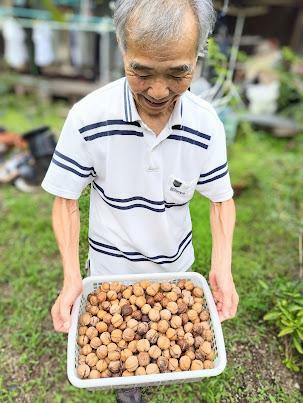 去年が豊作だったので、まだたくさん残ってはいるそうですが…