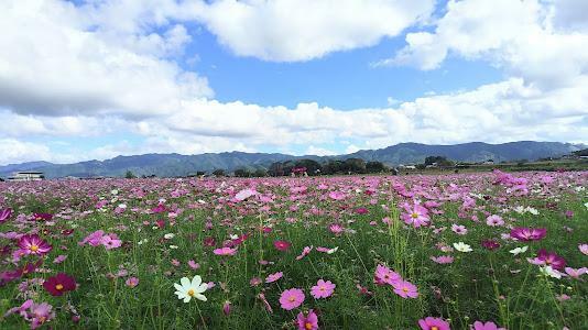 これが400万本の世界