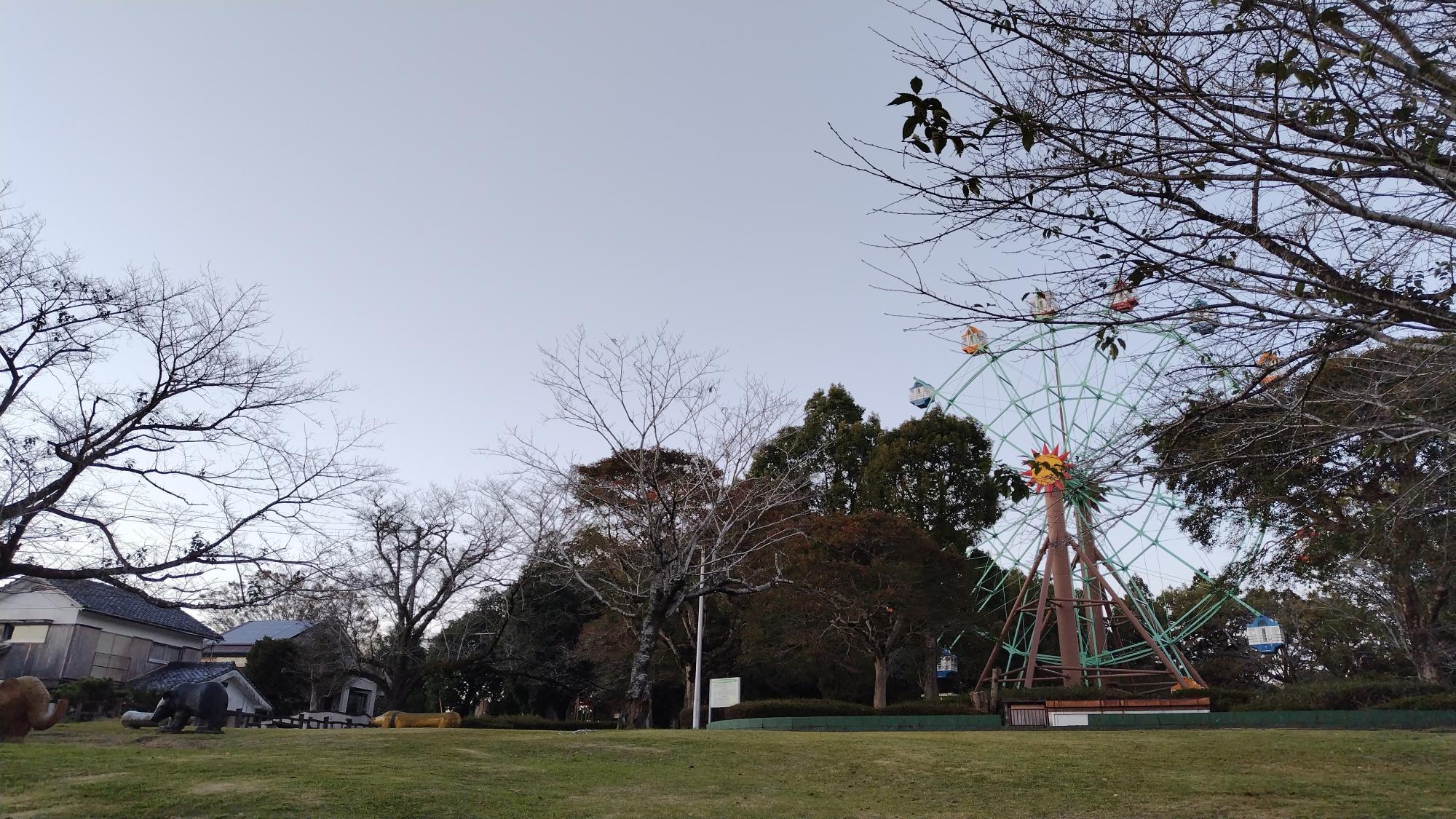 夕方の公園の空気感も好きです