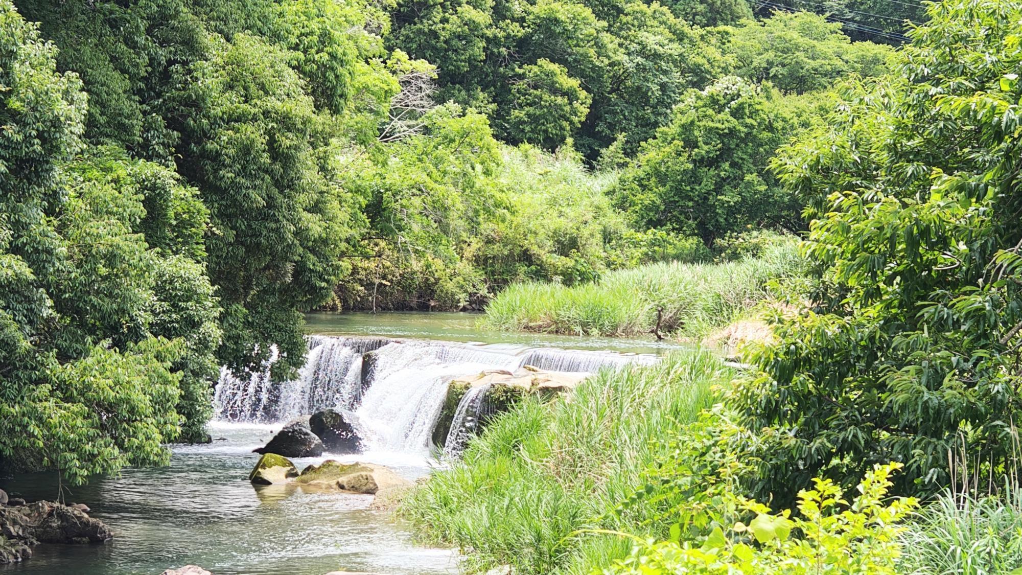 ZNE 血染めのぬかるみ　樹木茂る山麓　乾燥台地　沸騰する小湖　ボーダーレス 📍秋田県 鎧畑ダム 秋扇湖 / Shu-senko lake, Akita Japan