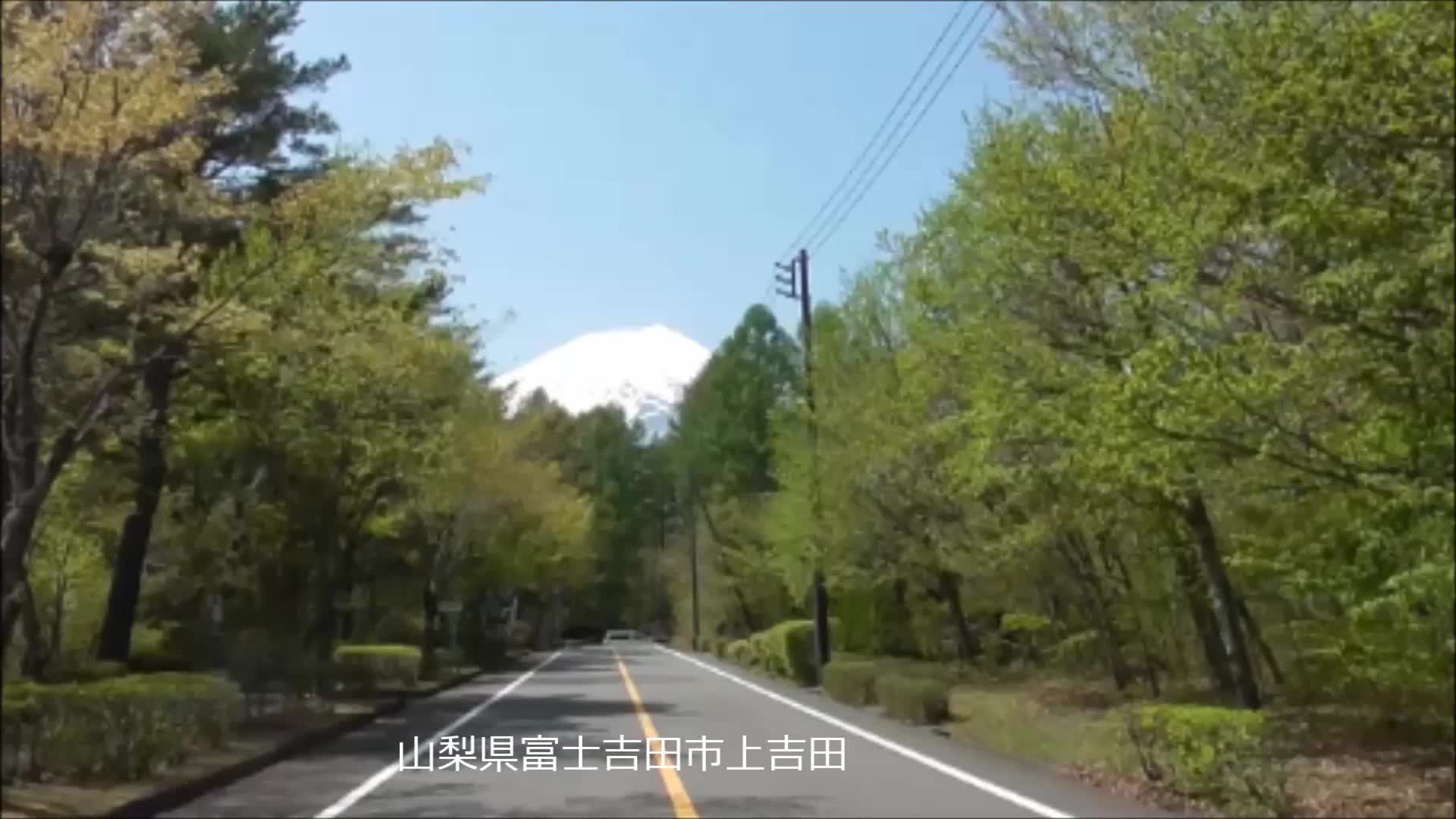 富士講先達が発見した富士山溶岩流でできた吉田胎内樹型とは The Page Yahoo ニュース