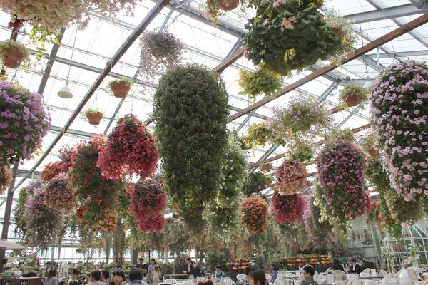 【中古】 神戸の動植物園/神戸新聞総合出版センター/神戸市立動植物園連絡会 中古】 神戸の動植物園/神戸新聞総合出版センター/神戸市立動