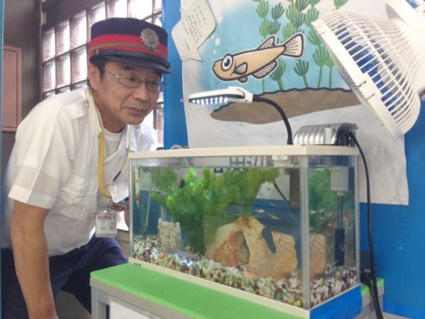 動画 メダカの駅長は改札の中 地下鉄 田辺駅にミニ水族館コーナー 通勤客らの癒しに 大阪 The Page Yahoo ニュース