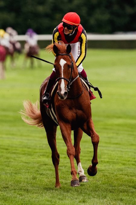 凱旋門賞で初の日本V馬誕生の可能性（Yahoo!ニュース オリジナル