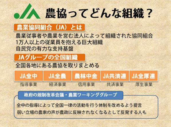 農協改革＞ JA全中は何が「特別な組織」なのか？ 早稲田塾講師・坂東